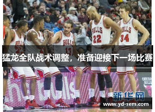 猛龙全队战术调整，准备迎接下一场比赛
