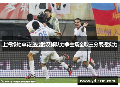 上海绿地申花迎战武汉球队力争主场全取三分展现实力